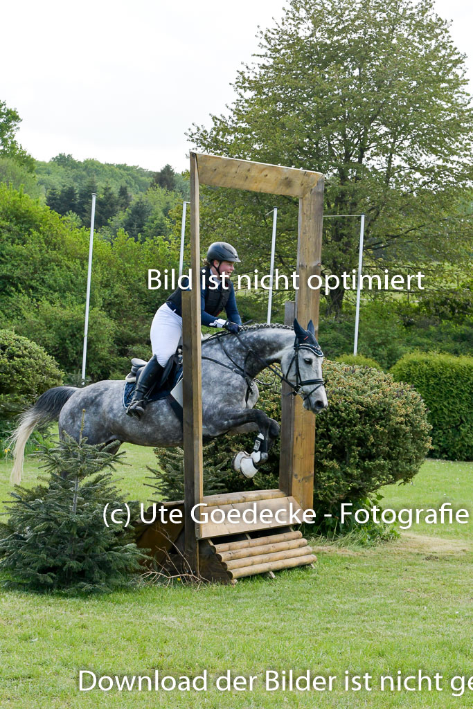 HH - Harburg  Vielseitigkeitsturnier  14.5.22 | 14052022 Gelände 2 Abt _136 