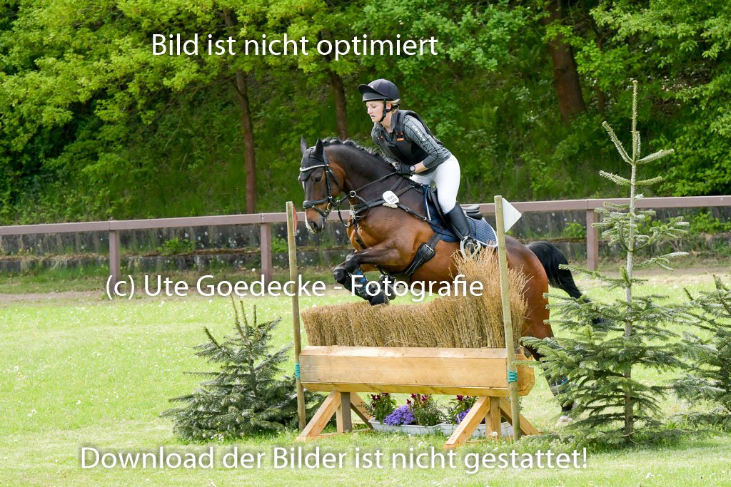 HH - Harburg  Vielseitigkeitsturnier  14.5.22 | 14052022 Gelände 2 Abt _150 