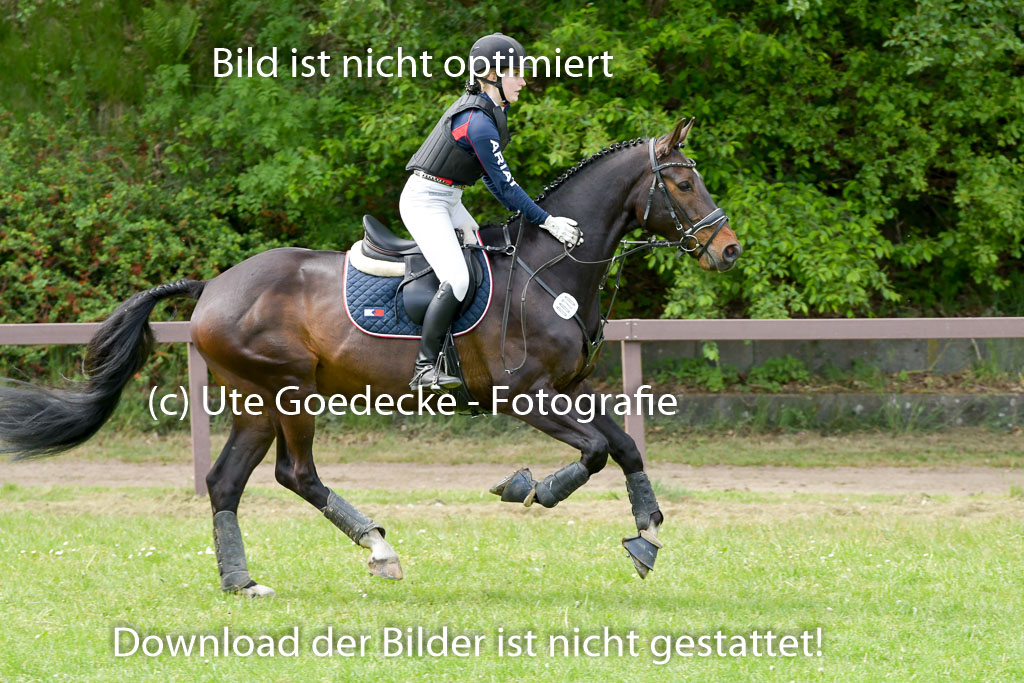 HH - Harburg  Vielseitigkeitsturnier  14.5.22 | 14052022 Gelände 2 Abt _155 