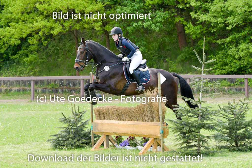 HH - Harburg  Vielseitigkeitsturnier  14.5.22 | 14052022 Gelände 2 Abt _162 