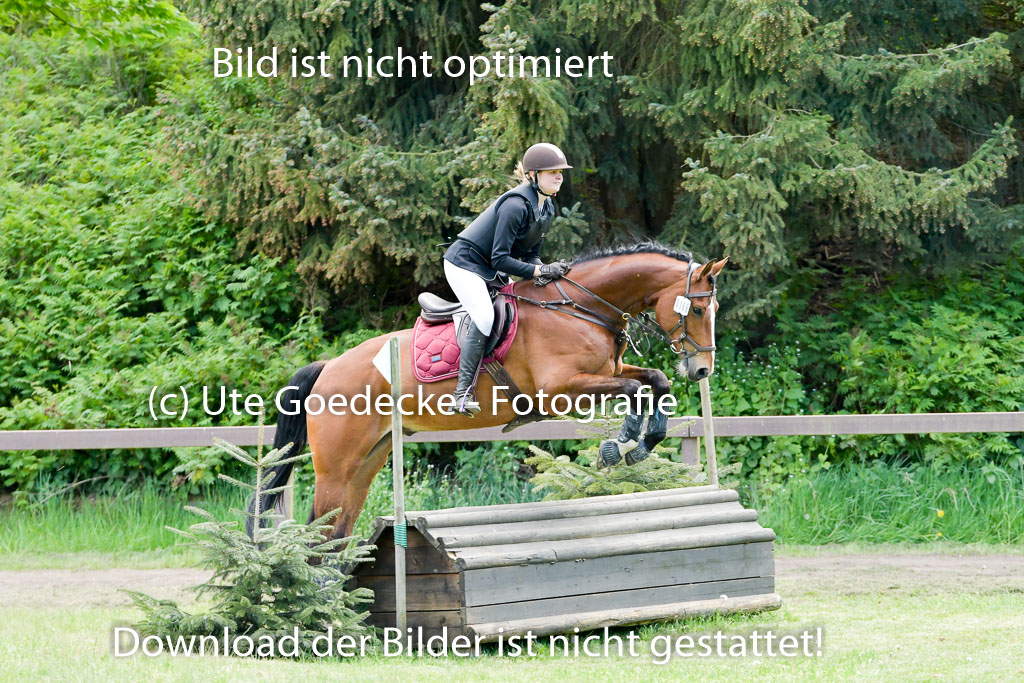 HH - Harburg  Vielseitigkeitsturnier  14.5.22 | 14052022 Gelände 2 Abt _163 