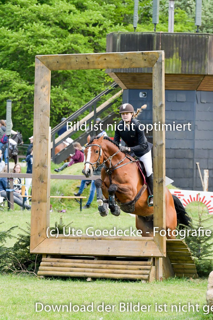 HH - Harburg  Vielseitigkeitsturnier  14.5.22 | 14052022 Gelände 2 Abt _165 