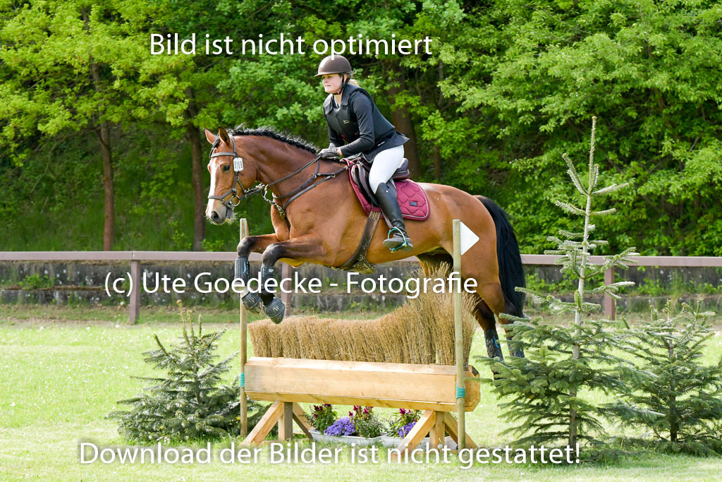 HH - Harburg  Vielseitigkeitsturnier  14.5.22 | 14052022 Gelände 2 Abt _172 