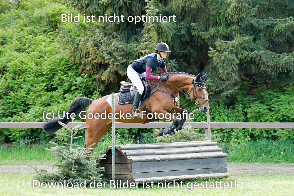 HH - Harburg  Vielseitigkeitsturnier  14.5.22 | 14052022 Gelände 2 Abt _173 