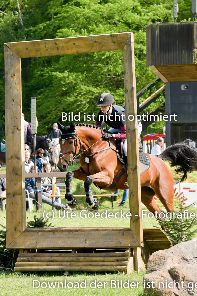 HH - Harburg  Vielseitigkeitsturnier  14.5.22 | 14052022 Gelände 2 Abt _174 