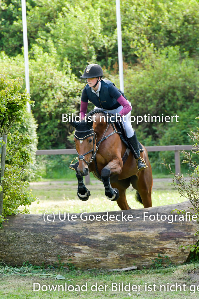 HH - Harburg  Vielseitigkeitsturnier  14.5.22 | 14052022 Gelände 2 Abt _175 