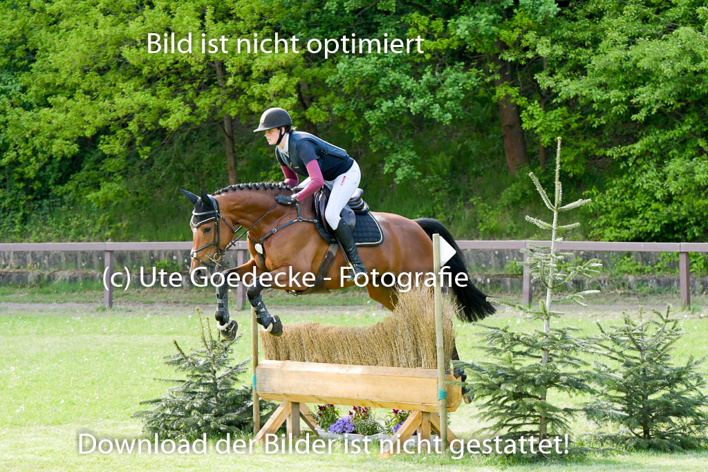HH - Harburg  Vielseitigkeitsturnier  14.5.22 | 14052022 Gelände 2 Abt _176 