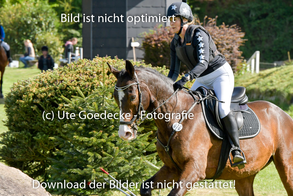 HH - Harburg  Vielseitigkeitsturnier  14.5.22 | 14052022 Gelände 2 Abt _184 