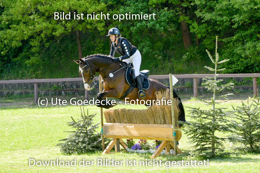 HH - Harburg  Vielseitigkeitsturnier  14.5.22 | 14052022 Gelände 2 Abt _185 