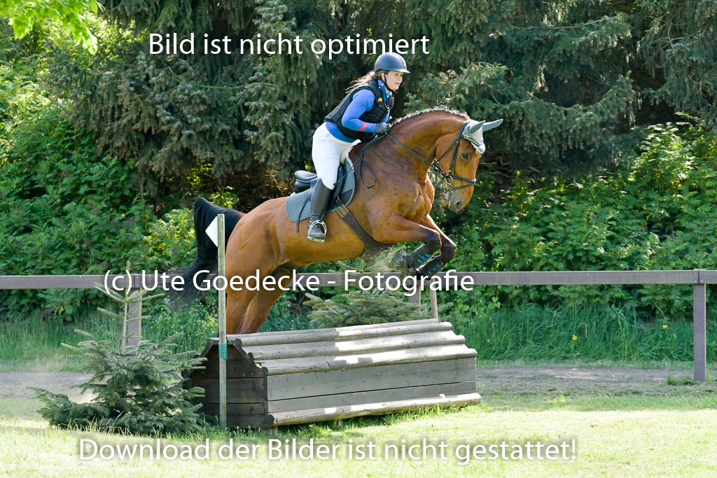 HH - Harburg  Vielseitigkeitsturnier  14.5.22 | 14052022 Gelände 2 Abt _186 