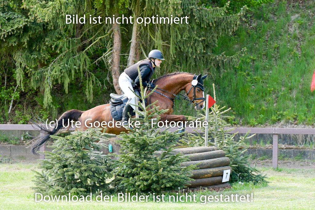 HH - Harburg  Vielseitigkeitsturnier  14.5.22 | 14052022 Gelände 2 Abt _190 