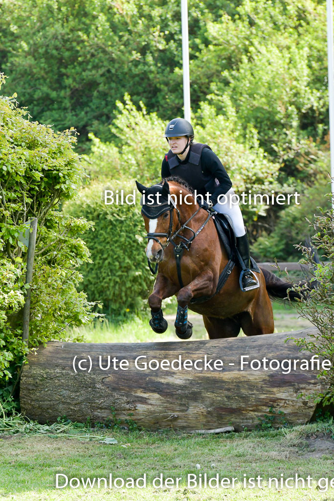 HH - Harburg  Vielseitigkeitsturnier  14.5.22 | 14052022 Gelände 2 Abt _195 