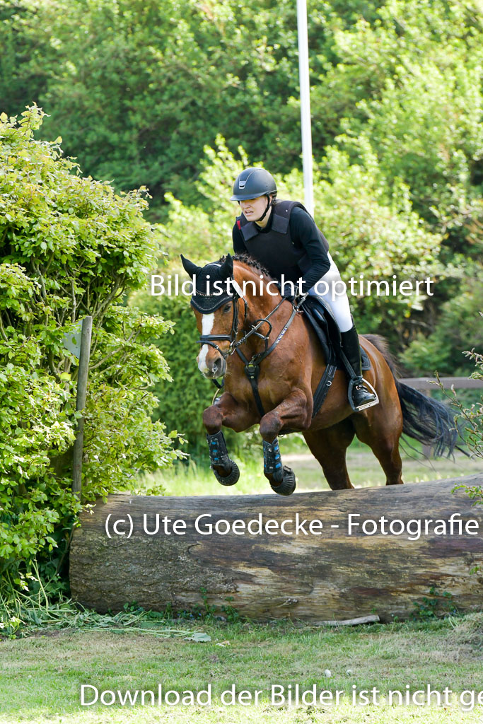 HH - Harburg  Vielseitigkeitsturnier  14.5.22 | 14052022 Gelände 2 Abt _196 