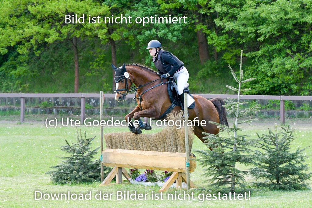 HH - Harburg  Vielseitigkeitsturnier  14.5.22 | 14052022 Gelände 2 Abt _199 