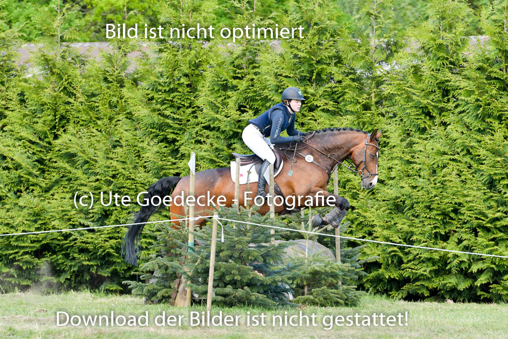 HH - Harburg  Vielseitigkeitsturnier  14.5.22 | 14052022 Gelände 2 Abt _202 