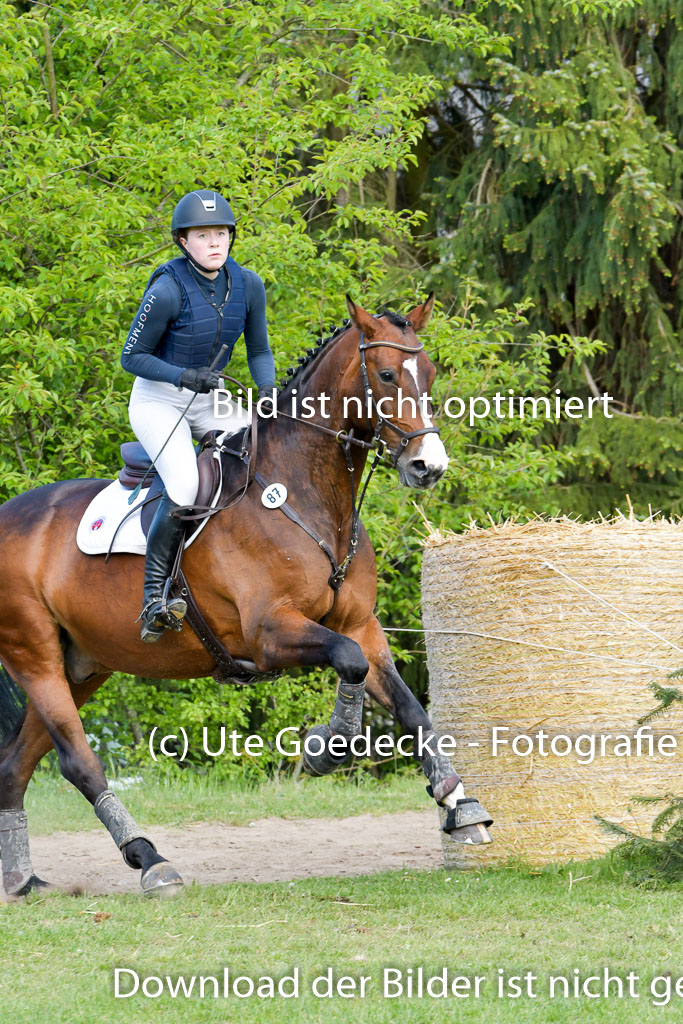 HH - Harburg  Vielseitigkeitsturnier  14.5.22 | 14052022 Gelände 2 Abt _203 