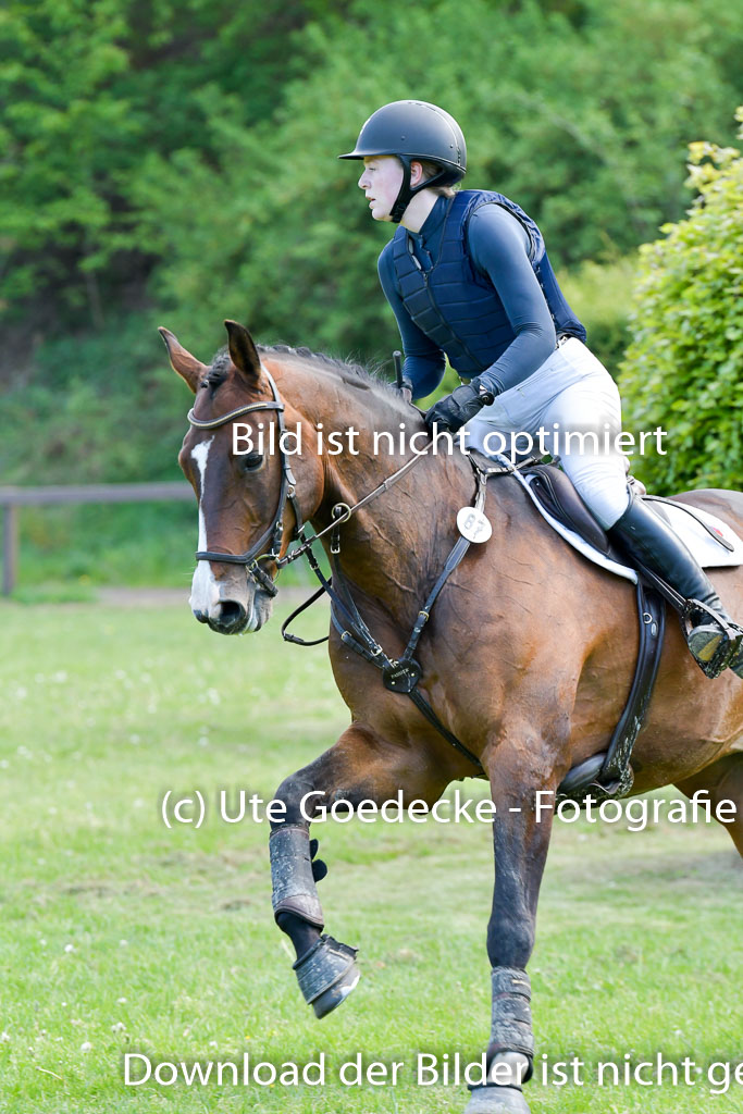HH - Harburg  Vielseitigkeitsturnier  14.5.22 | 14052022 Gelände 2 Abt _208 