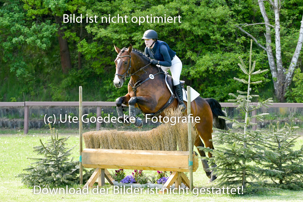HH - Harburg  Vielseitigkeitsturnier  14.5.22 | 14052022 Gelände 2 Abt _210 