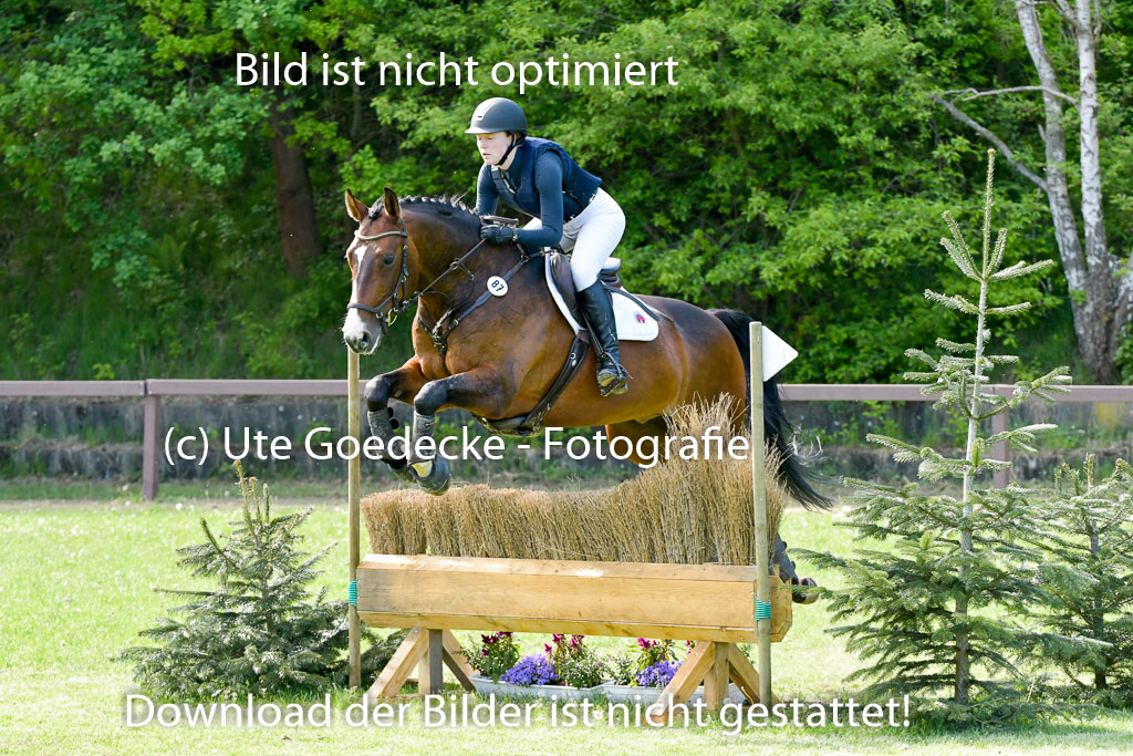 HH - Harburg  Vielseitigkeitsturnier  14.5.22 | 14052022 Gelände 2 Abt _211 