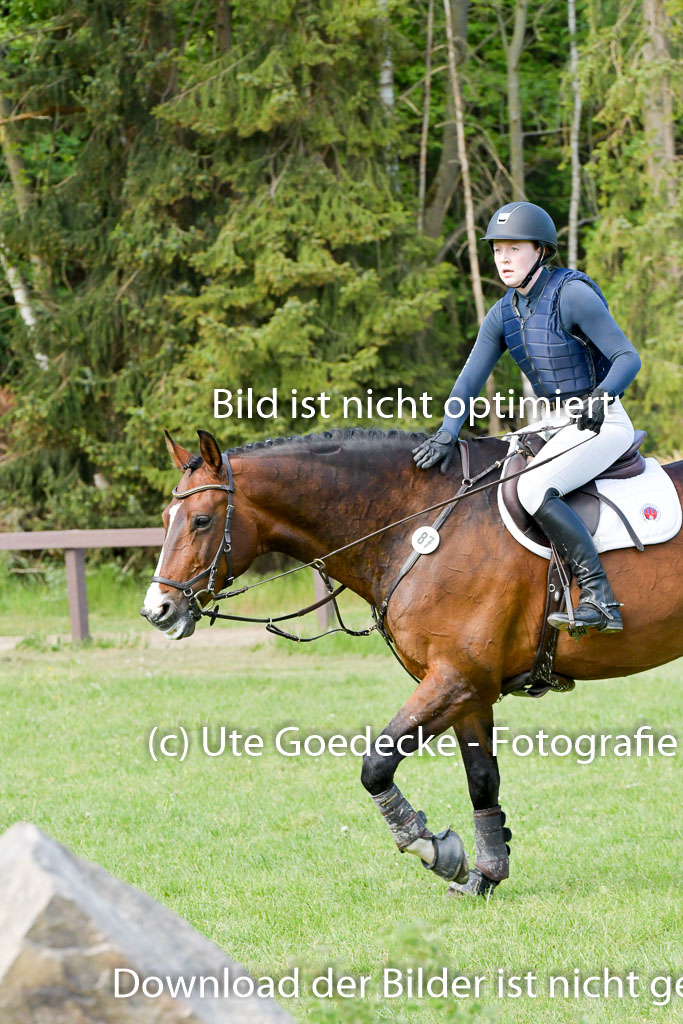 HH - Harburg  Vielseitigkeitsturnier  14.5.22 | 14052022 Gelände 2 Abt _213 