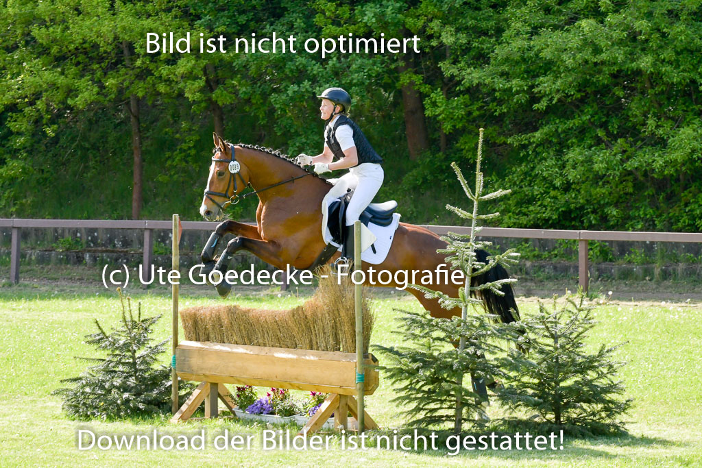 HH - Harburg  Vielseitigkeitsturnier  14.5.22 | 14052022 Gelände 2 Abt _221 