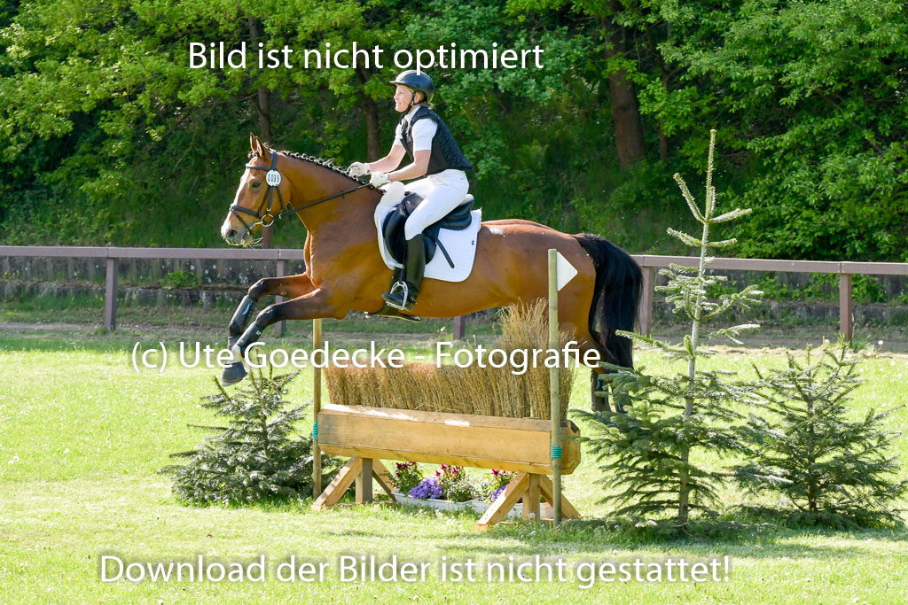 HH - Harburg  Vielseitigkeitsturnier  14.5.22 | 14052022 Gelände 2 Abt _222 