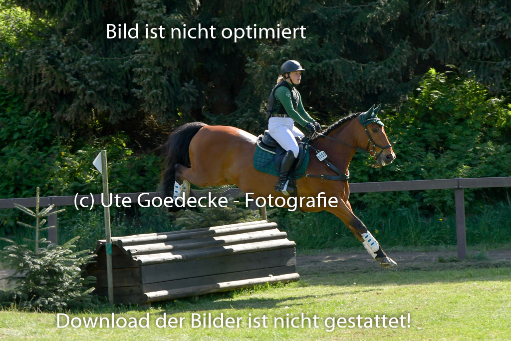HH - Harburg  Vielseitigkeitsturnier  14.5.22 | 14052022 Gelände 2 Abt _223 