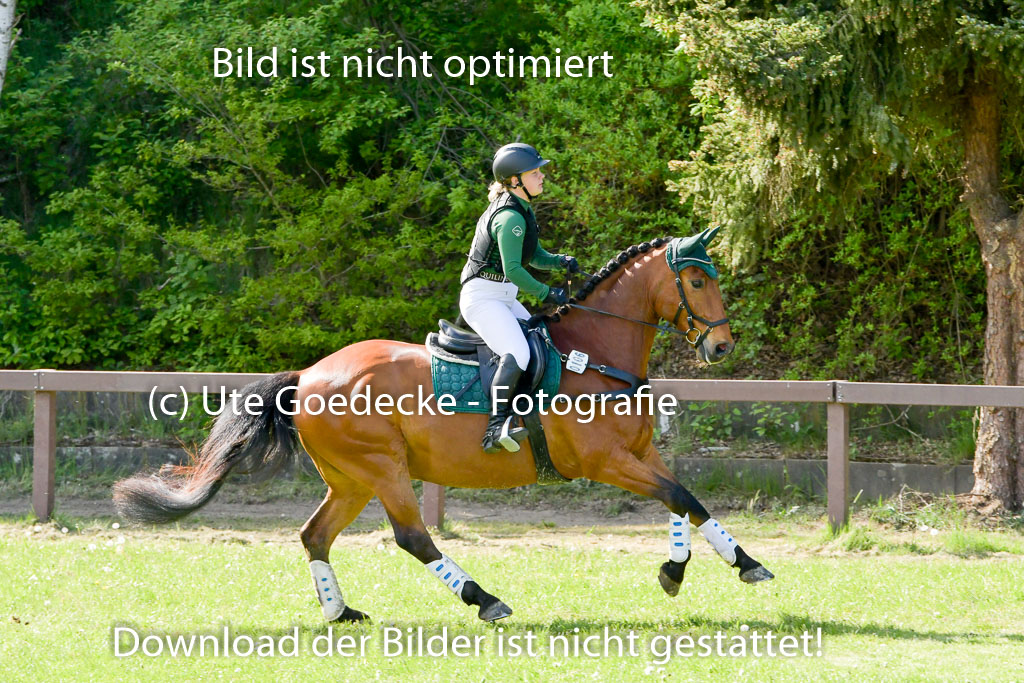 HH - Harburg  Vielseitigkeitsturnier  14.5.22 | 14052022 Gelände 2 Abt _224 