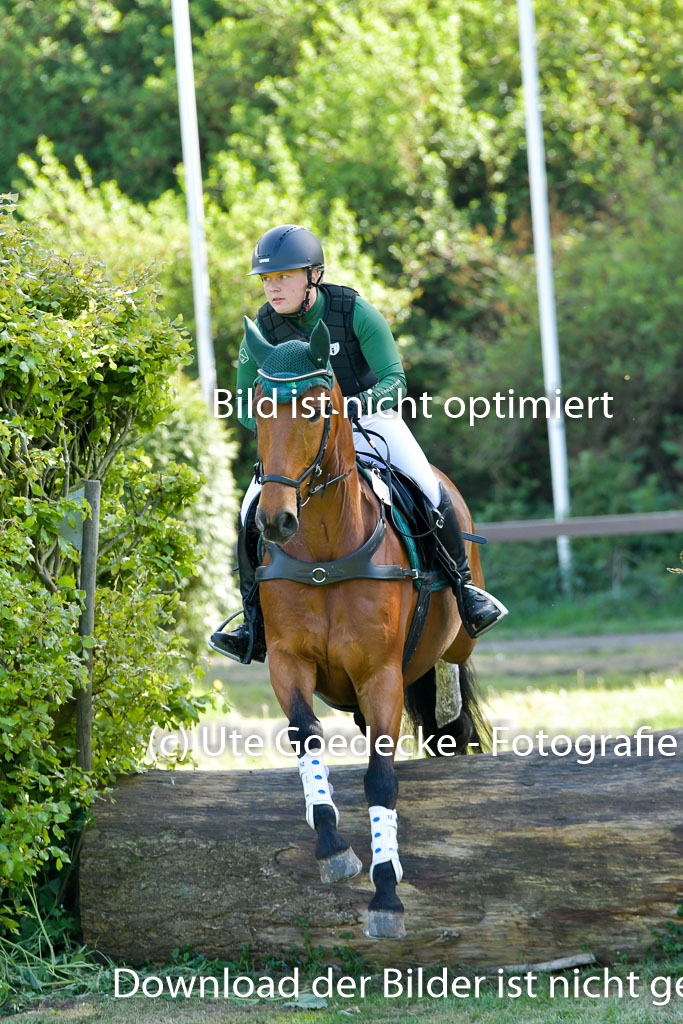 HH - Harburg  Vielseitigkeitsturnier  14.5.22 | 14052022 Gelände 2 Abt _231 