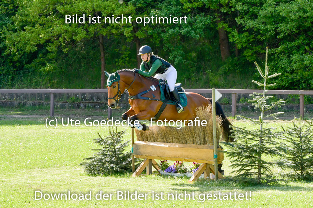 HH - Harburg  Vielseitigkeitsturnier  14.5.22 | 14052022 Gelände 2 Abt _235 
