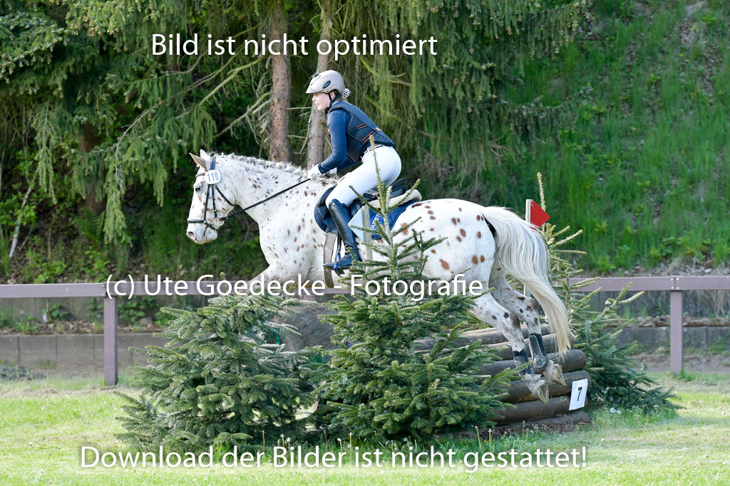 HH - Harburg  Vielseitigkeitsturnier  14.5.22 | 14052022 Gelände 2 Abt _241 