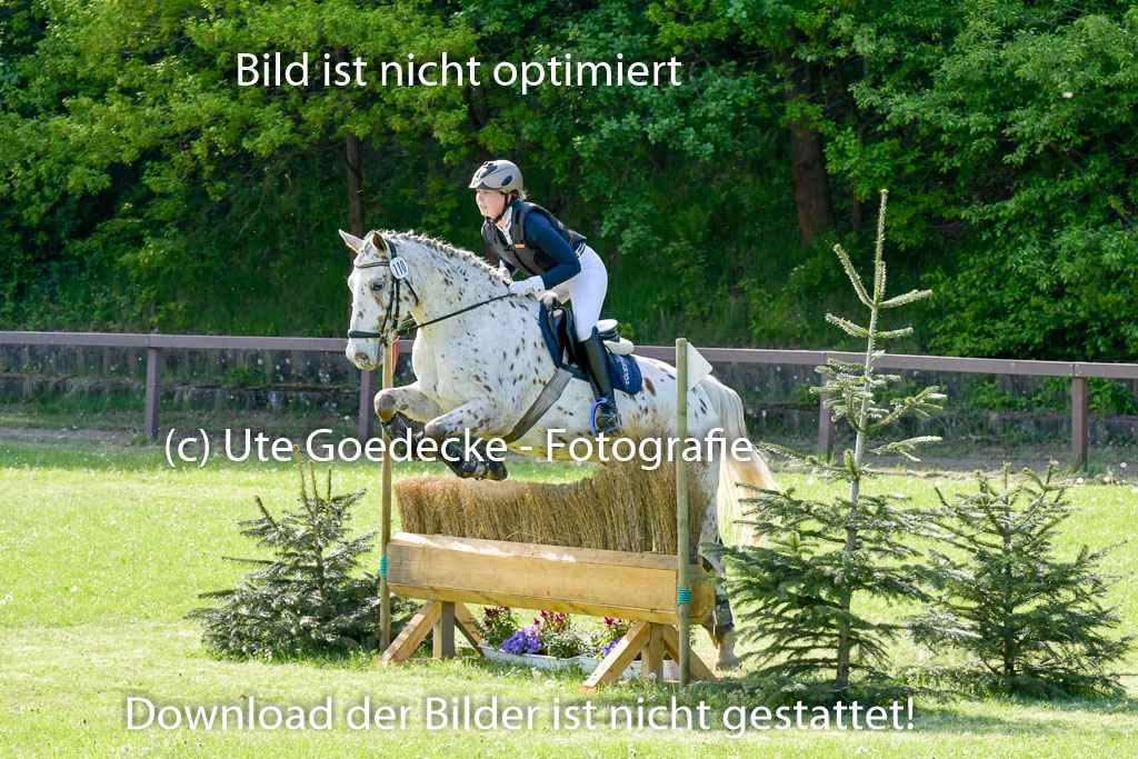 HH - Harburg  Vielseitigkeitsturnier  14.5.22 | 14052022 Gelände 2 Abt _248 