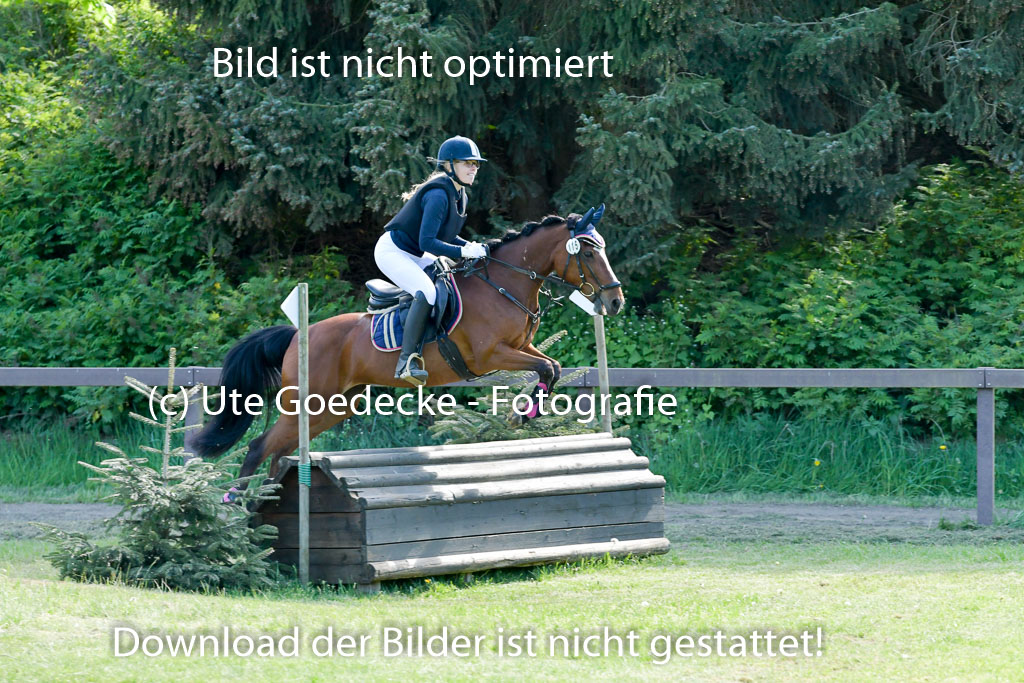 HH - Harburg  Vielseitigkeitsturnier  14.5.22 | 14052022 Gelände 2 Abt _250 