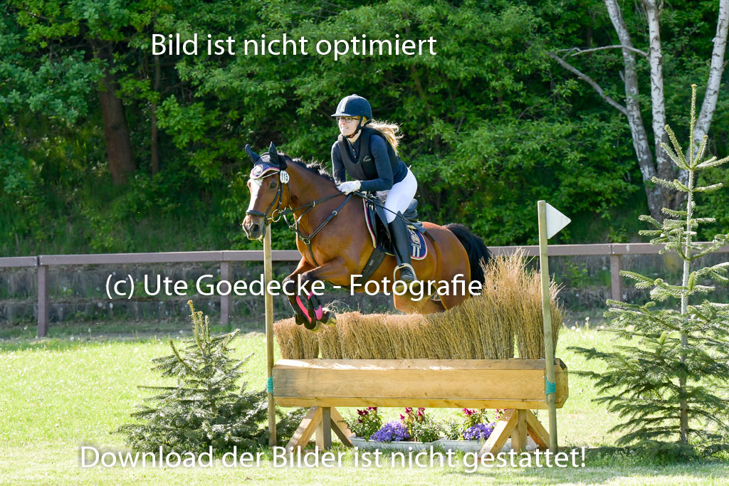 HH - Harburg  Vielseitigkeitsturnier  14.5.22 | 14052022 Gelände 2 Abt _259 