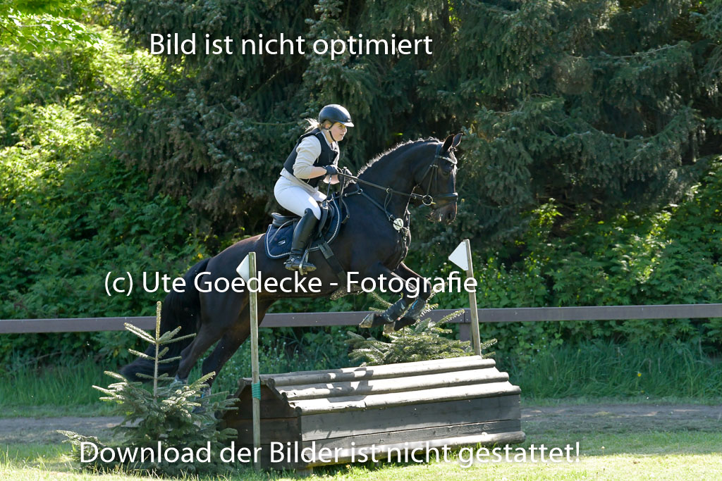 HH - Harburg  Vielseitigkeitsturnier  14.5.22 | 14052022 Gelände 2 Abt _260 