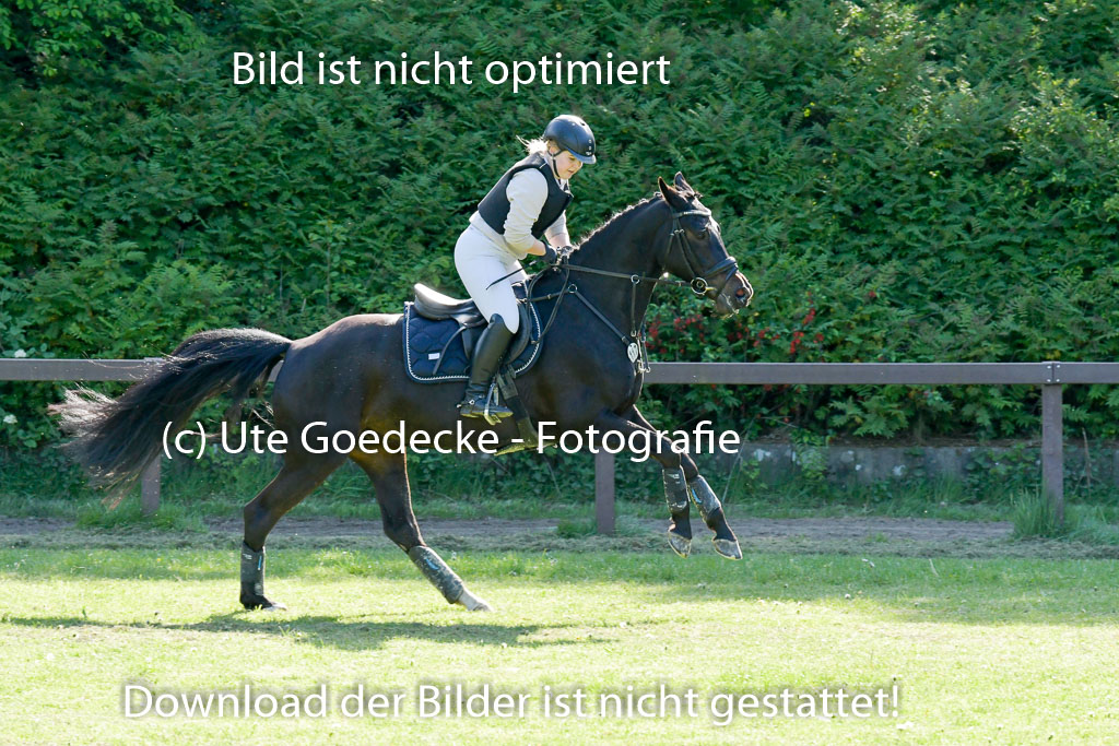 HH - Harburg  Vielseitigkeitsturnier  14.5.22 | 14052022 Gelände 2 Abt _261 
