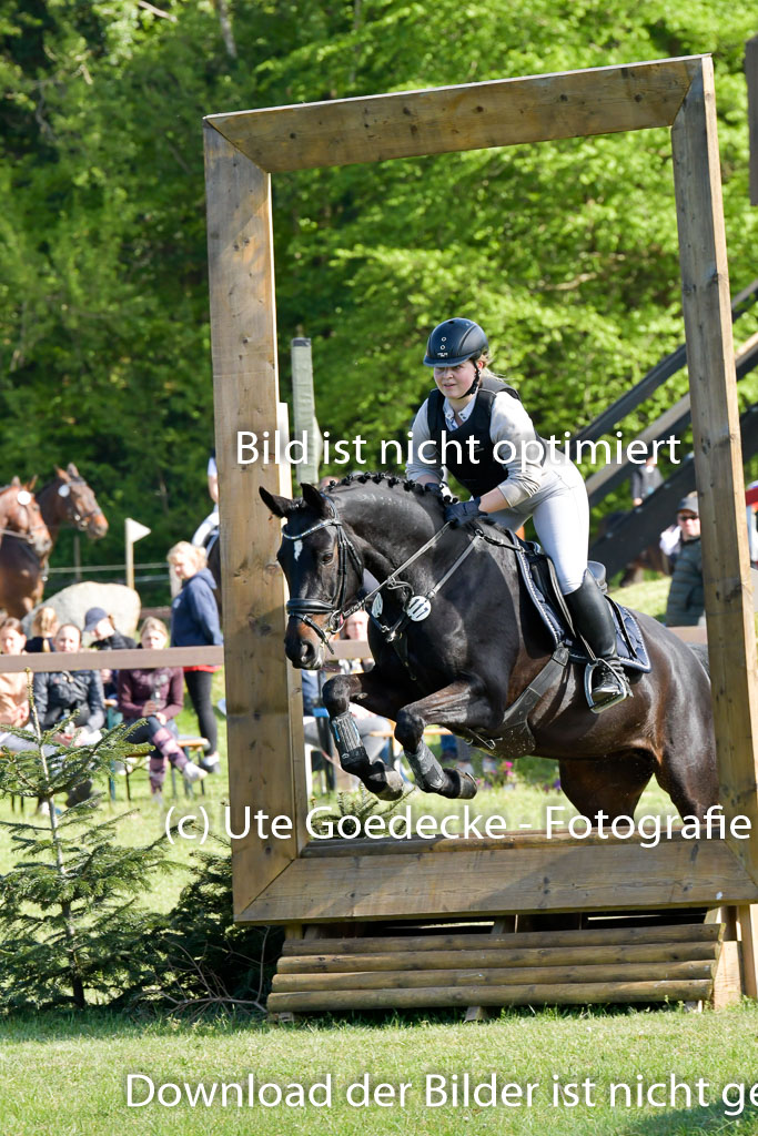 HH - Harburg  Vielseitigkeitsturnier  14.5.22 | 14052022 Gelände 2 Abt _265 