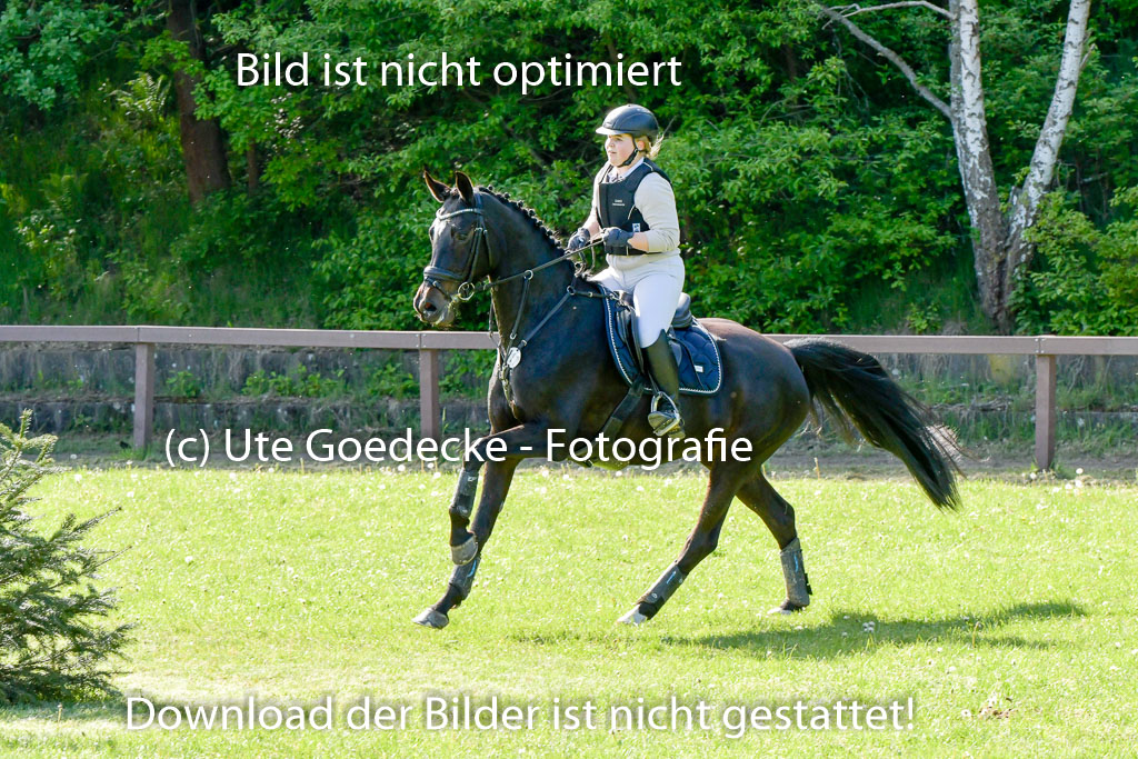 HH - Harburg  Vielseitigkeitsturnier  14.5.22 | 14052022 Gelände 2 Abt _268 