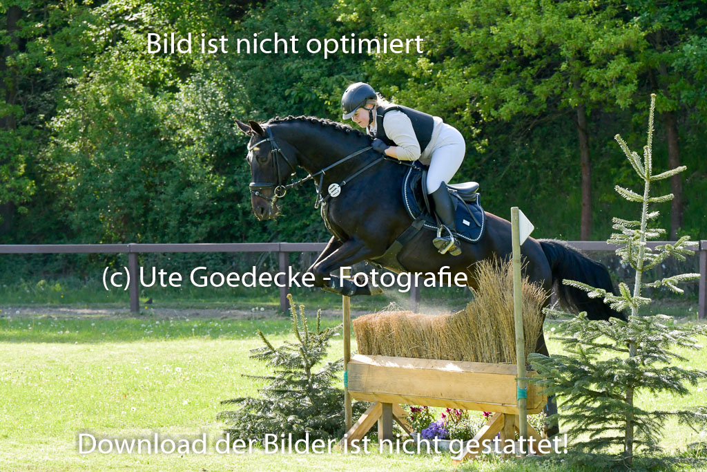 HH - Harburg  Vielseitigkeitsturnier  14.5.22 | 14052022 Gelände 2 Abt _269 