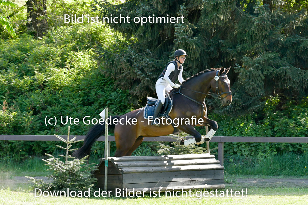 HH - Harburg  Vielseitigkeitsturnier  14.5.22 | 14052022 Gelände 2 Abt _271 