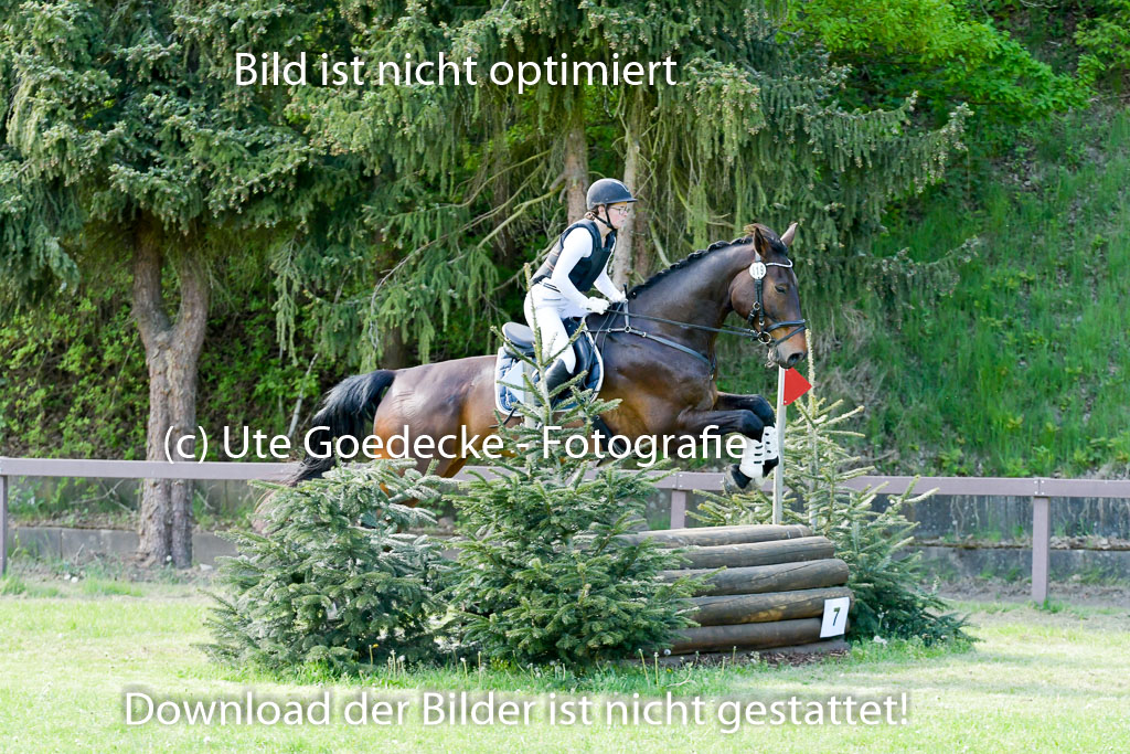 HH - Harburg  Vielseitigkeitsturnier  14.5.22 | 14052022 Gelände 2 Abt _272 