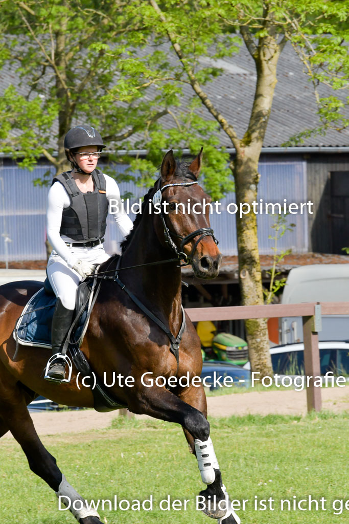 HH - Harburg  Vielseitigkeitsturnier  14.5.22 | 14052022 Gelände 2 Abt _273 