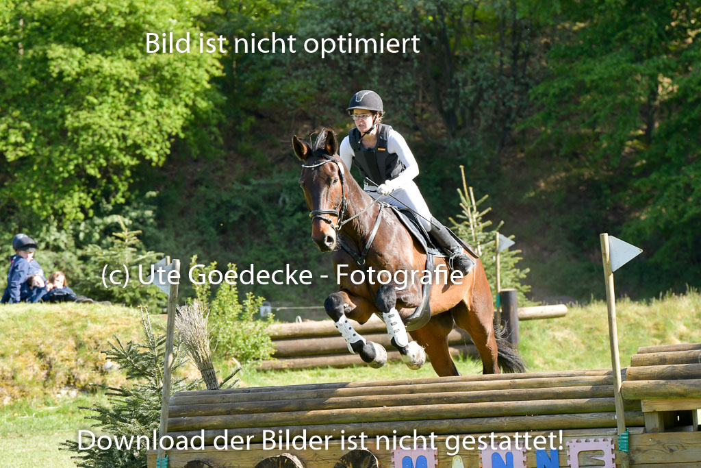 HH - Harburg  Vielseitigkeitsturnier  14.5.22 | 14052022 Gelände 2 Abt _278 