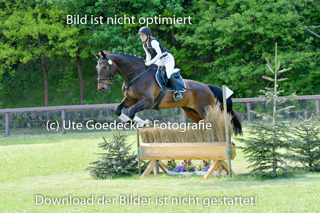 HH - Harburg  Vielseitigkeitsturnier  14.5.22 | 14052022 Gelände 2 Abt _280 