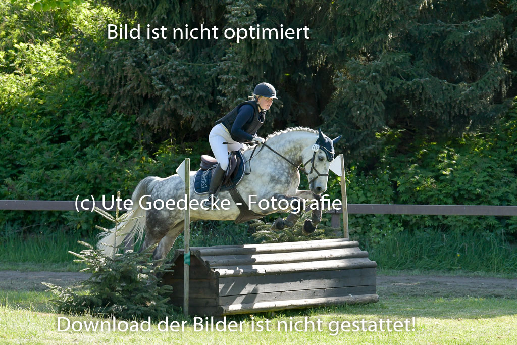HH - Harburg  Vielseitigkeitsturnier  14.5.22 | 14052022 Gelände 2 Abt _289 