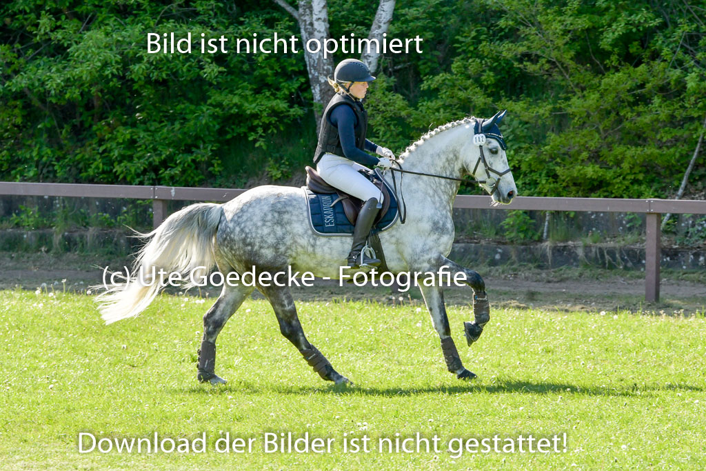 HH - Harburg  Vielseitigkeitsturnier  14.5.22 | 14052022 Gelände 2 Abt _290 