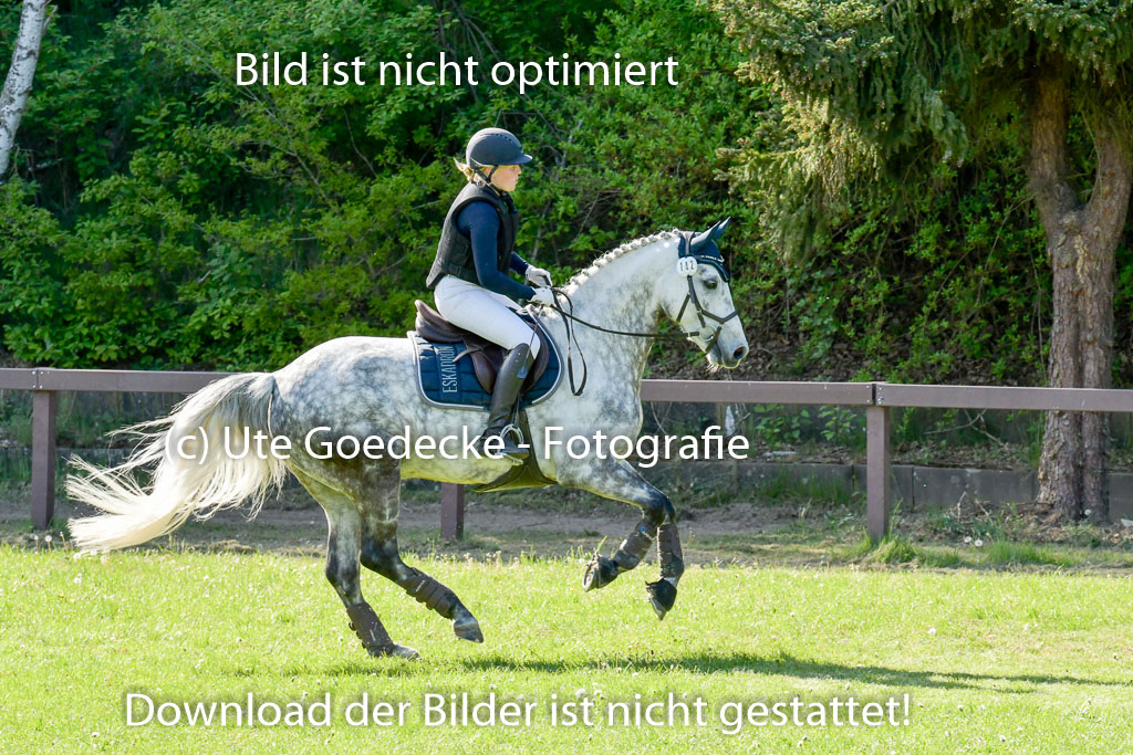 HH - Harburg  Vielseitigkeitsturnier  14.5.22 | 14052022 Gelände 2 Abt _291 