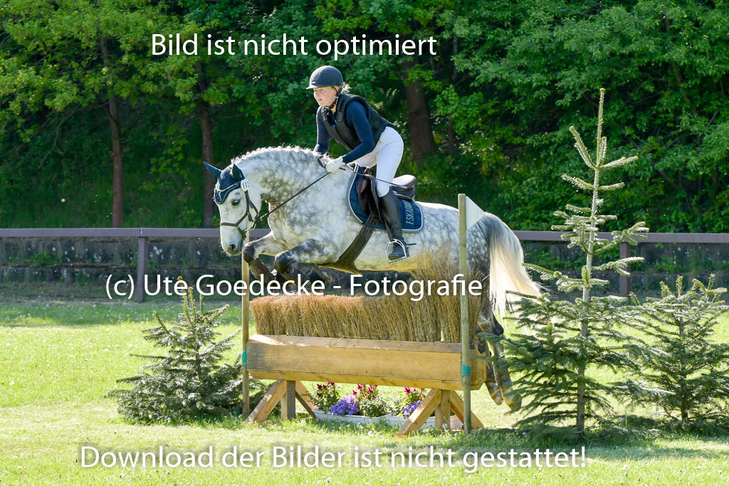HH - Harburg  Vielseitigkeitsturnier  14.5.22 | 14052022 Gelände 2 Abt _299 