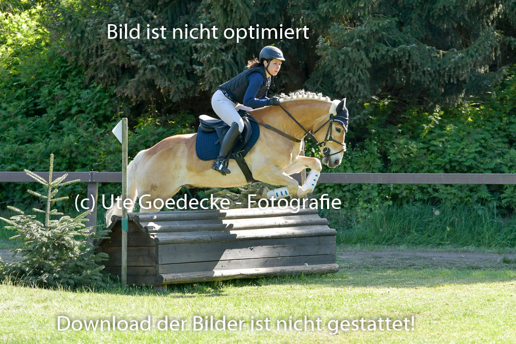 HH - Harburg  Vielseitigkeitsturnier  14.5.22 | 14052022 Gelände 2 Abt _300 