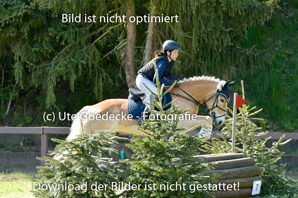 HH - Harburg  Vielseitigkeitsturnier  14.5.22 | 14052022 Gelände 2 Abt _301 